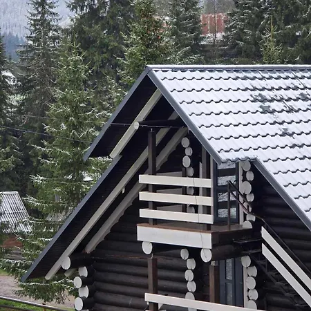 Synevyr House Апартаменти 2 *